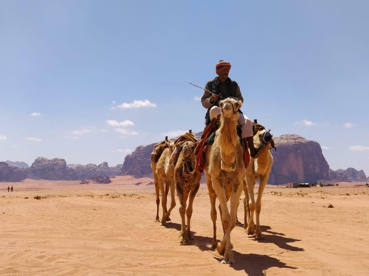 Beyond Wadi Camp 2*